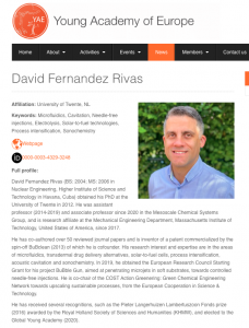 Profile webpage of YAE membership of David Fernandez Rivas